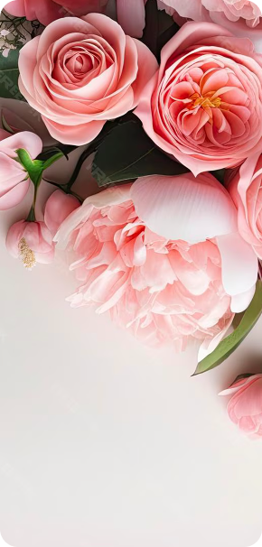 Больше ассортимента в предзаказе